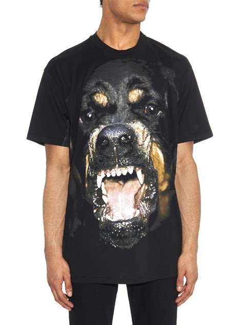 givenchy t shirt rottweiler|Givenchy Rottweiler for sale .